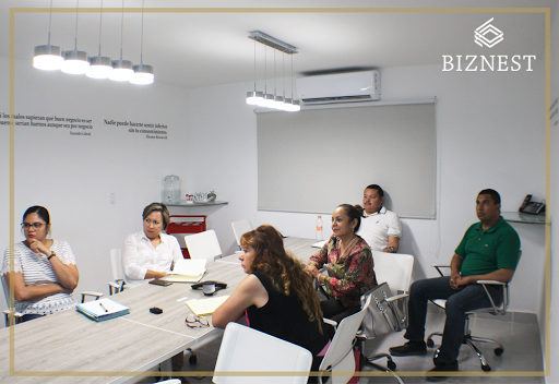 BIZNEST - Oficinas Virtuales