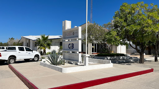 CIBNOR, Oficinas de Enlace