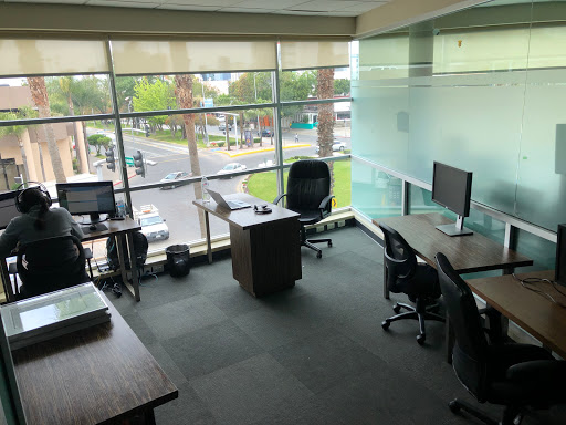 Elite Business Center