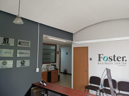 Foster Conchitas