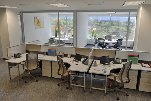 IOS OFFICES Campestre