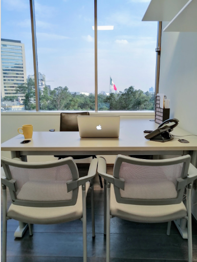 Net(work) Polanco | Oficinas Amuebladas y Oficinas Virtuales.