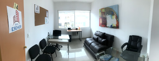 Office Pro Business Center/8717130119 Oficinas Virtuales