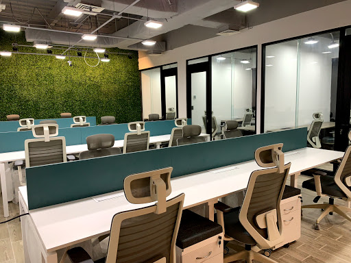 The Net Cowork